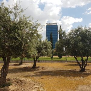 exteriores_torre-garena-1024x768